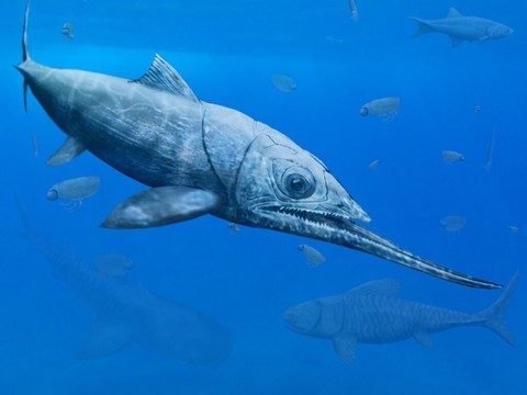 Un poisson préhistorique à la mâchoire inférieure géante