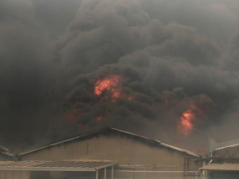 Incendies au Chili: au moins 99 morts