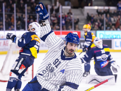 Les Zurich Lions mettent Fribourg-Gottéron à 4 points
