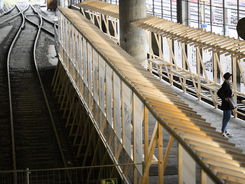 Tom Tirabosco et la Belgique invités d'honneur de BDFIL 2024