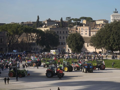 Plus d'un millier d'agriculteurs manifestent à Rome