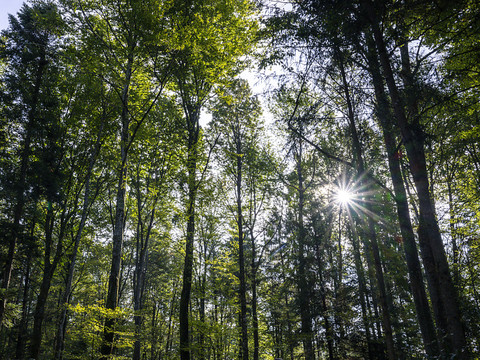 Le Conseil fédéral veut deux milliards pour l'environnement