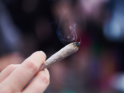 Feu vert du Bundestag à la légalisation du cannabis récréatif