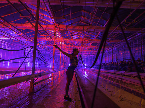 Le 14e Festival Antigel à Genève a attiré 46'000 personnes