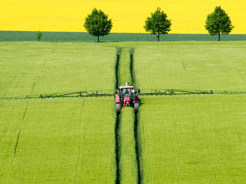 Restauration de la nature dans l'UE: un texte pour préserver les écosystèmes