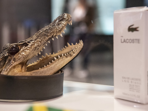 Interparfums: bénéfice net en hausse en 2023