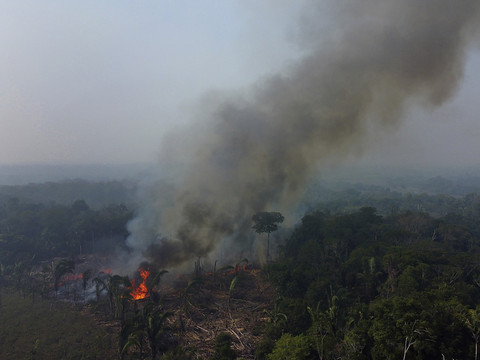 Près de 3000 feux en Amazonie brésilienne, un record pour février