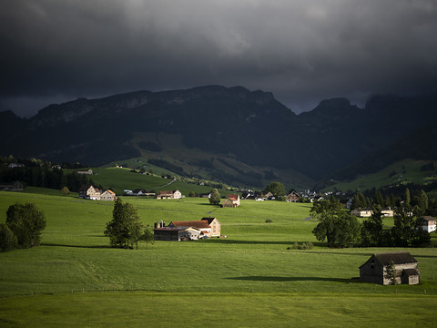 Les revenus agricoles ont baissé de 1,3% en 2022