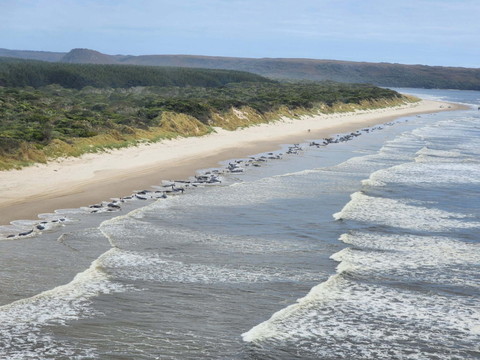 Fort séisme près de l'île Macquarie, pas de risque de tsunami
