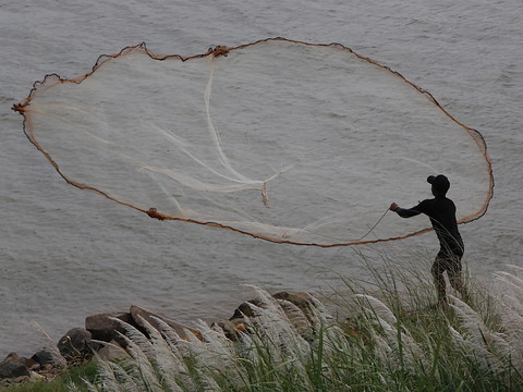 Asie du Sud-Est: une espèce de poisson sur 5 du Mékong menacée d'extinction