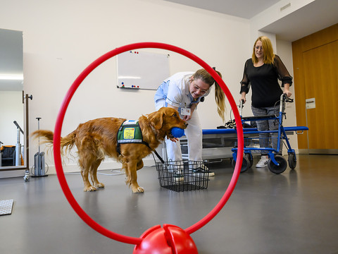Thérapie assistée par une chienne à l’HFR Meyriez-Murten