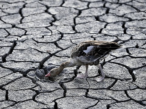 L'UE doit faire plus pour le climat pour éviter une catastrophique