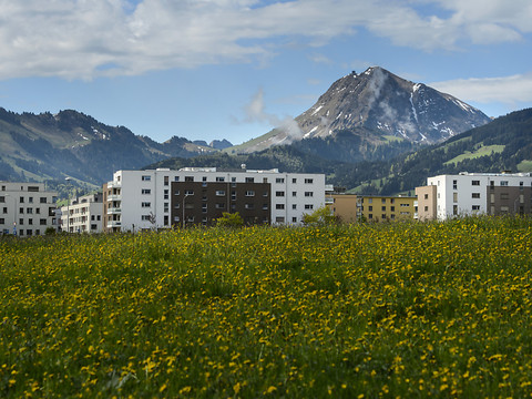 Fribourg en bonne voie en matière d'aménagement du territoire