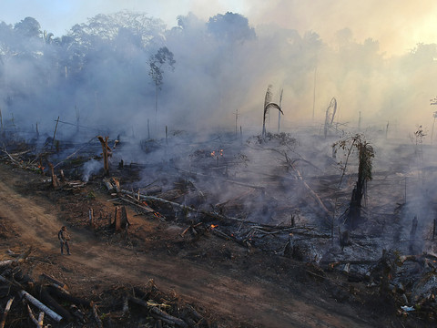 Déforestation en Amazonie au plus bas en janvier/février en six ans