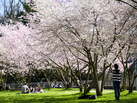 Le début du printemps n'atteint pas partout le seuil des 20 degrés
