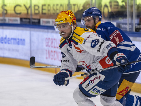 Les Lions dévorent Zoug