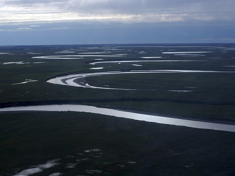 Vaste zone de l'Alaska protégée: limiter l'exploitation pétrolière