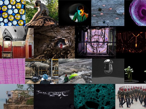Concours FNS d’images scientifiques 2024: dix-huit oeuvres primées