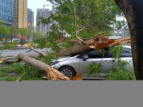 Inondations: nouvelles pluies prévues, contre-la-montre engagé