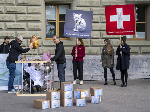 40'000 signatures contre l'expérimentation animale en Suisse