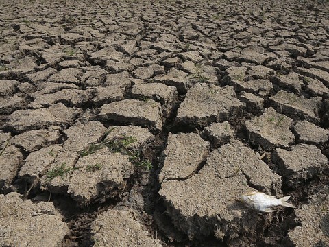 Nouveau record en avril, la planète toujours en surchauffe