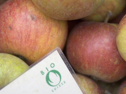 Le nombre d'exploitations agricoles recule en Suisse, la part du bio augmente