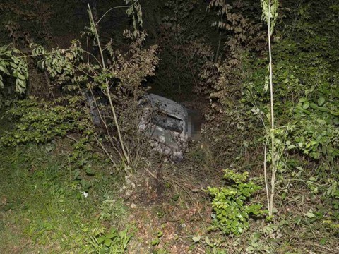 Sortie de route mortelle dans une forêt près de Winistorf (SO)