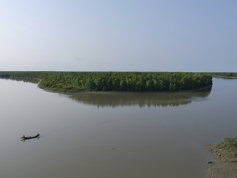 Plus de la moitié des mangroves menacées d'extinction d'ici 2050