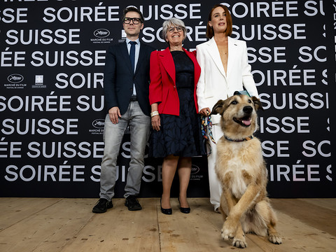 Palm Dog pour Kodi, star à quatre pattes du 