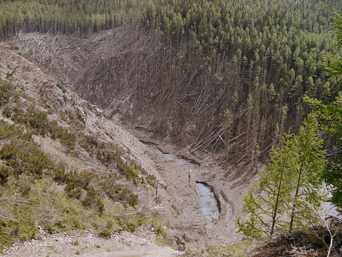 Le Conseil des Etats veut 2,3 milliards pour l'environnement