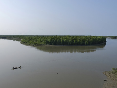 Au Bangladesh, le cyclone Remal a mis en danger l'habitat des tigres du Bengale