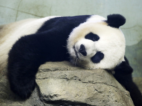Pékin envoie deux nouveaux 