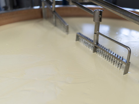 Cas mortels de listeria dans du brie: fromager schwyzois condamné
