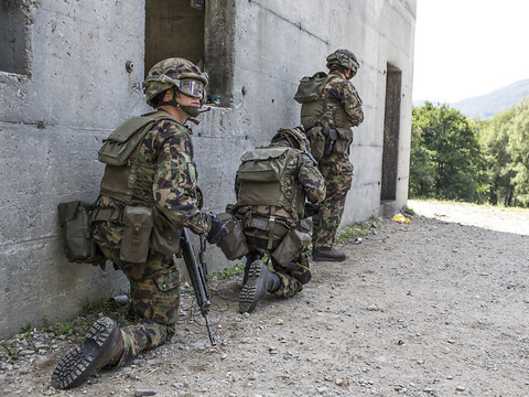 Pas de fonds pour la sécurité et la paix en Europe
