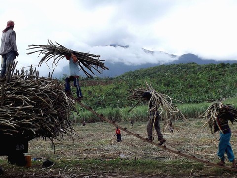 Milliers d'évacuations après l'éruption d'un volcan aux Philippines