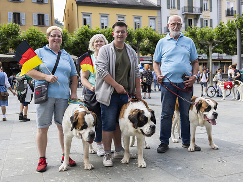 Une centaine de chiens Saint-Bernard dans les rues de Martigny (VS)