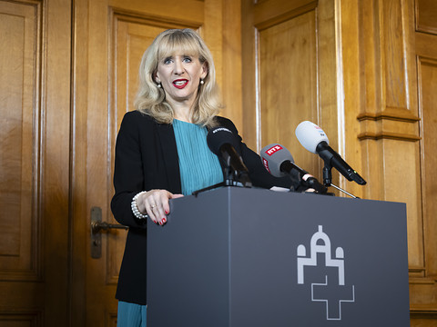 Projet en consultation pour réexporter des armes sous conditions