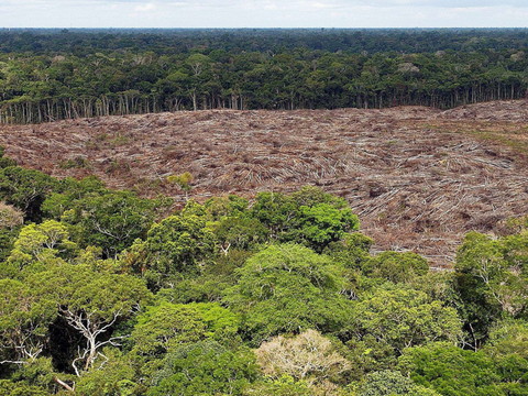 Brésil : Lula renforce la protection de la forêt amazonienne