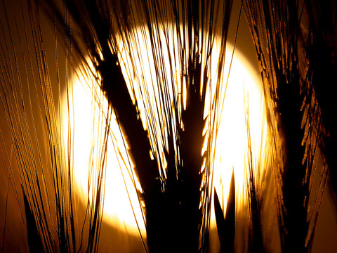 Le temps se montre enfin estival en Suisse