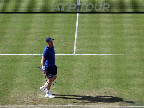 Blessé, Murray est incertain pour Wimbledon