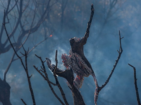Grèce: 13 arrestations après un incendie sur une île