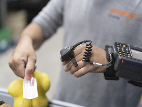 Comment quelques traits ont conquis le monde en 50 ans