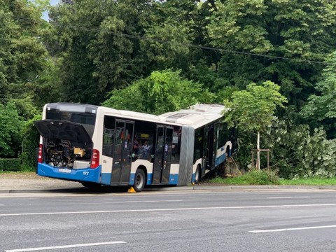 Un bus de ligne termine sa course contre un arbre à Lucerne