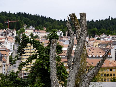 La Chaux-de-Fonds porte encore les stigmates de la tempête