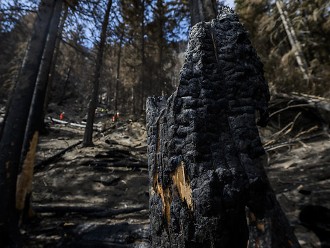 Le feu de forêt à Bitsch lié à des tirs sur les câbles électriques