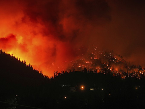 Un feu de forêt 