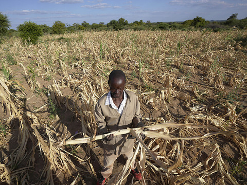 ONU: pire à venir avec les effets de la sécheresse en Afrique