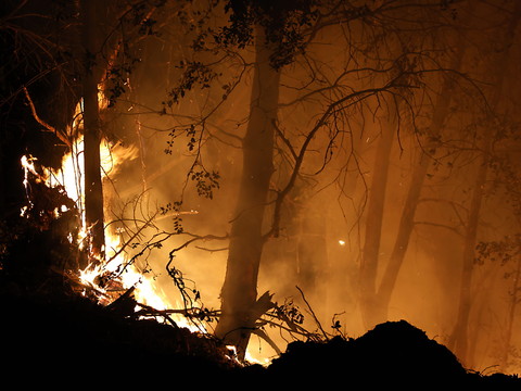 Milliers d'évacuations en Californie face à un mégafeu