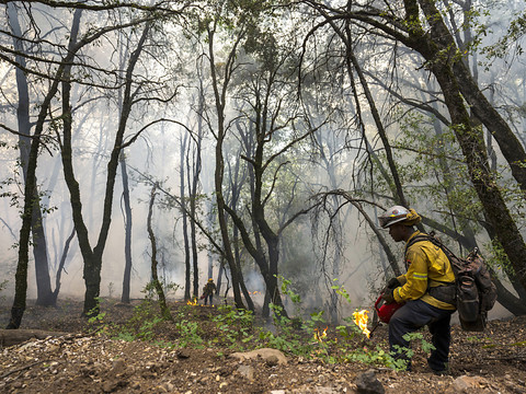 Le mégafeu en Californie, l'un des plus gros jamais enregistré