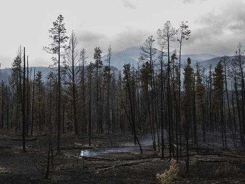 Le feu éteint à Jasper, toujours hors de contrôle dans le parc